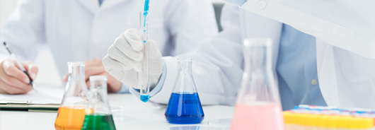 选择开运APP官方网站的理由